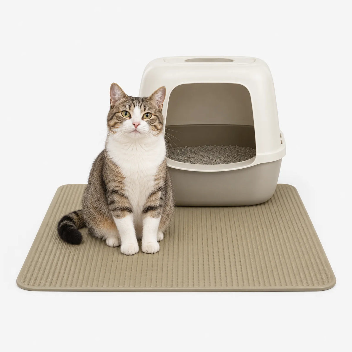 Kattis  - Stor Kattmatta Fånga Upp Kattsand