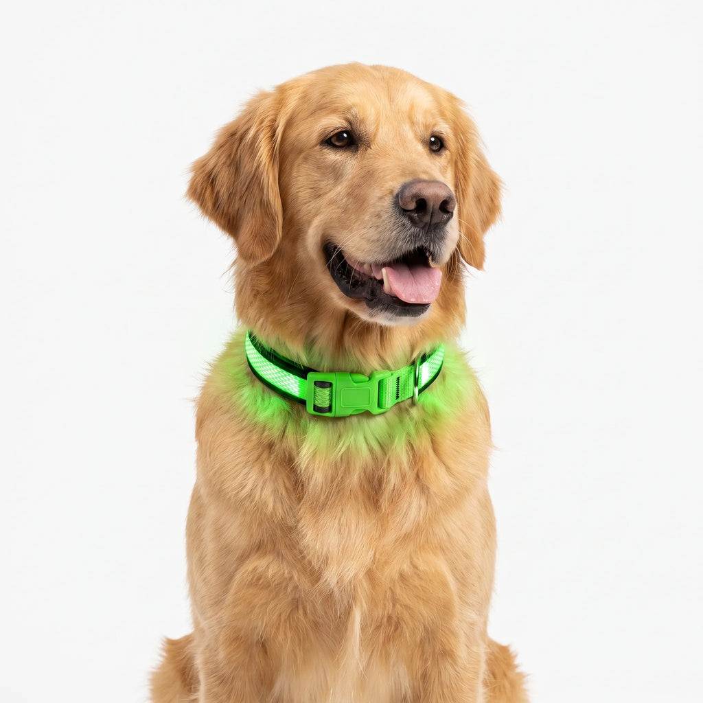 LumiDog - Laddningsbart Hundhalsband Med Led Ljus