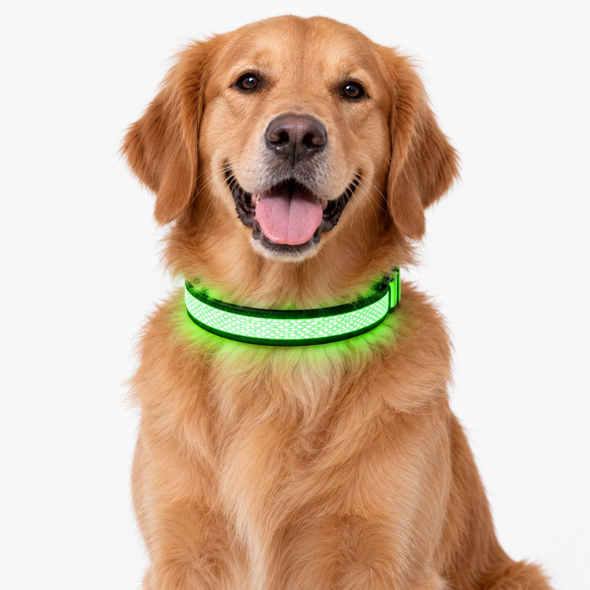 LuminaHund  - Uppladdningsbart Hundhalsband Med Led Kvällspromenader I Mörker