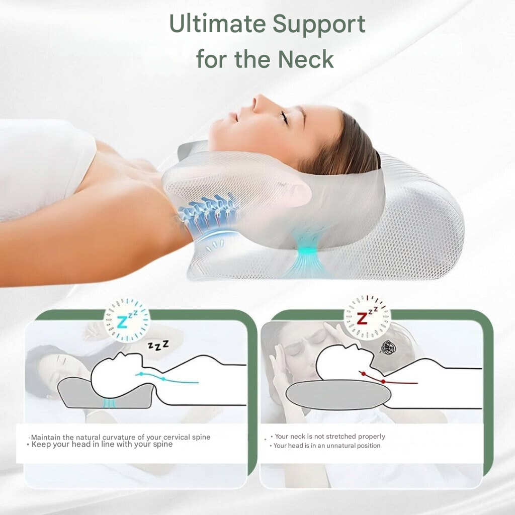 orthopadisches_kissen__dreamalign_8