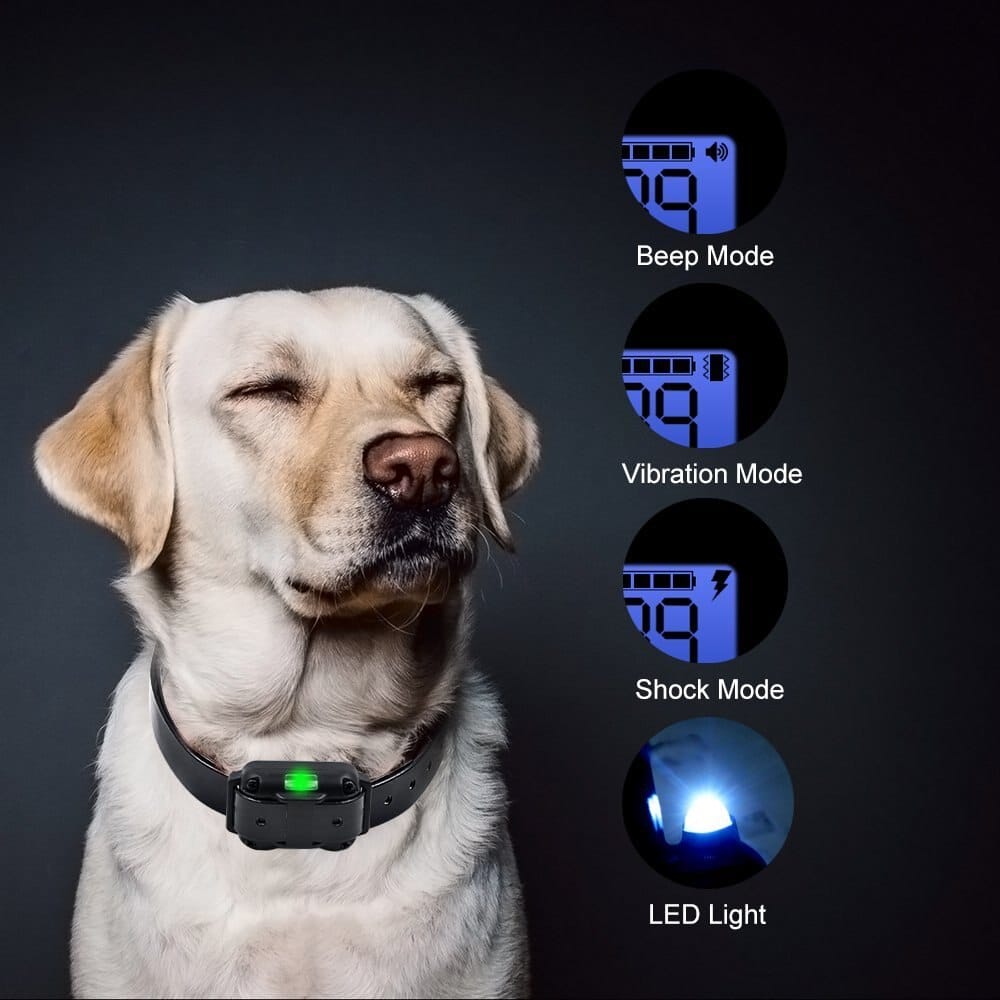 Svart elektriskt hundträningshalsband med fjärrkontroll och belyst display
