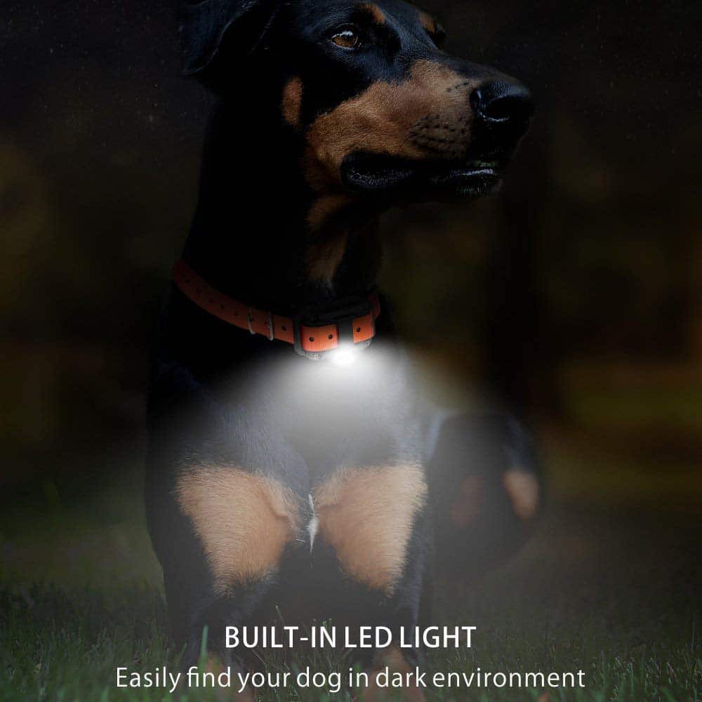 Svart elektriskt hundträningshalsband med fjärrkontroll och belyst display